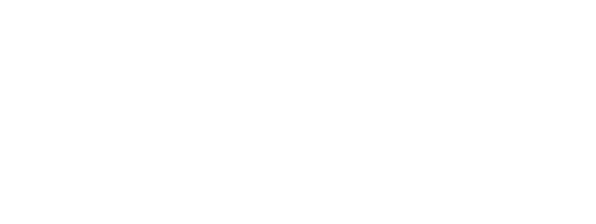 VNR Group